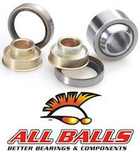 Honda CR85 Lower Shock Bearing & Seal Kit