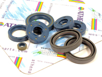 Aprilia RS125 Rotax 123 Engine Oil Seal Kit Athena